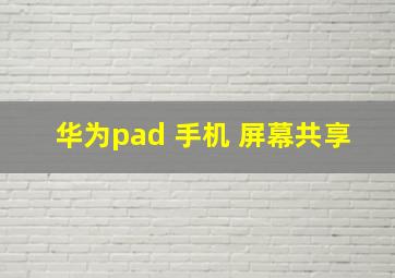 华为pad 手机 屏幕共享